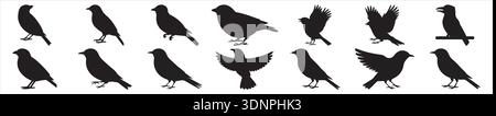 Schwarze Vogel Silhouetten Sammlung Set, isolierte Vektor Grafik Illustration. Verschiedene kleine Vögel in verschiedenen stehenden, fliegenden und hockenden Posen. Stock Vektor