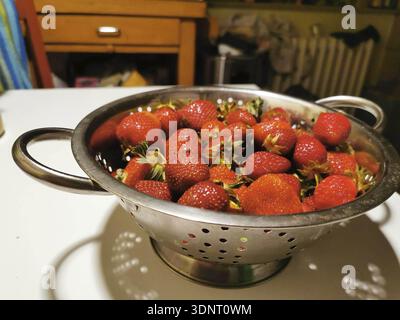Frische rote Erdbeeren (fragaria) liegen in einem Edelstahlsieb auf einem Küchentisch Stockfoto