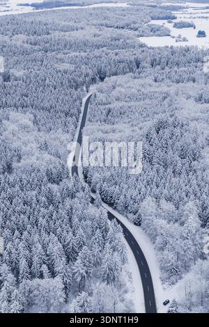 Schneebedeckte Straße schlängelt sich durch einen dichten Winterwald, Gechingen, Calw, Deutschland Stockfoto