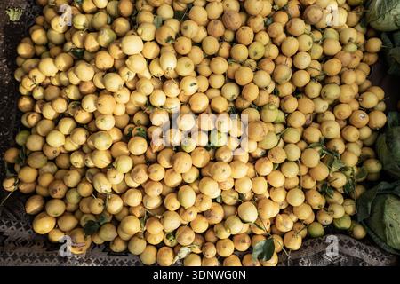 Saint Ouen, Paris, Frankreich. Februar 2026. Zitronen aus der Region Maghnia, die auf dem Markt in der Innenstadt verkauft werden. (Kreditbild: © Sadak Souici/ZUMA Press Wire) NUR REDAKTIONELLE VERWENDUNG! Nicht für kommerzielle ZWECKE! Stockfoto