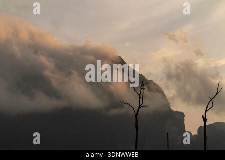Sanftes Sonnenaufgangslicht beleuchtet Nebel, der über einem zerklüfteten Bergkamm über dem Cheow Lan Lake in Khao Sok, Thailand, mit Silhouetten von Bäumen, rollt. Stockfoto