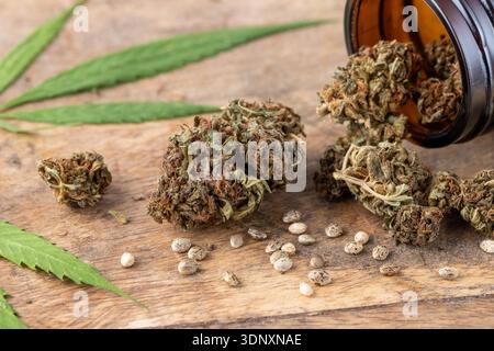 Getrocknete weibliche Knospen von Marihuana-Blüten mit Hanfblättern. Cannabis-Unkrautknospen liegen im Glasgefäß und auf einem Holztisch. Hanfknospen-Nahaufnahme. Freizeit märz Stockfoto