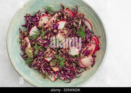 Gesunde Ernährung Lebensmittel. Vegane buddha-Schüssel mit Quinoa, Rotkohl, Rettich. Stockfoto