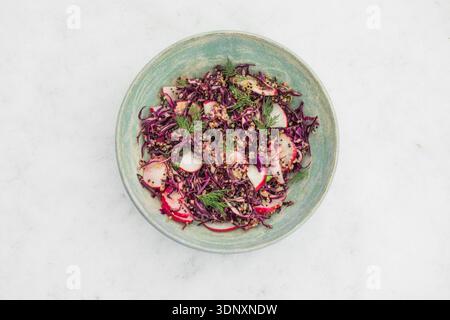 Gesunde Ernährung Lebensmittel. Vegane buddha-Schüssel mit Quinoa, Rotkohl, Rettich. Stockfoto