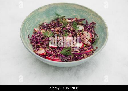 Gesunde Ernährung Lebensmittel. Vegane buddha-Schüssel mit Quinoa, Rotkohl, Rettich. Stockfoto