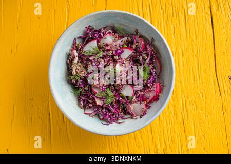 Gesunde Ernährung Lebensmittel. Vegane buddha-Schüssel mit Quinoa, Rotkohl, Rettich. Stockfoto
