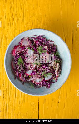 Gesunde Ernährung Lebensmittel. Vegane buddha-Schüssel mit Quinoa, Rotkohl, Rettich. Stockfoto