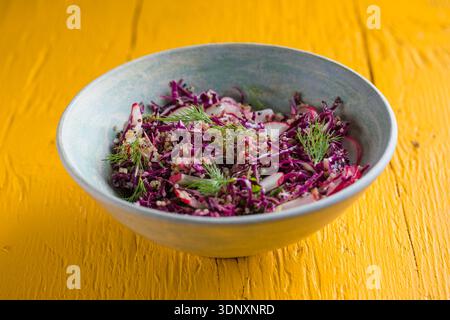 Gesunde Ernährung Lebensmittel. Vegane buddha-Schüssel mit Quinoa, Rotkohl, Rettich. Stockfoto