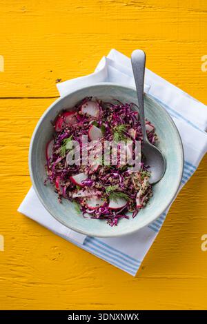 Gesunde Ernährung Lebensmittel. Vegane buddha-Schüssel mit Quinoa, Rotkohl, Rettich. Stockfoto