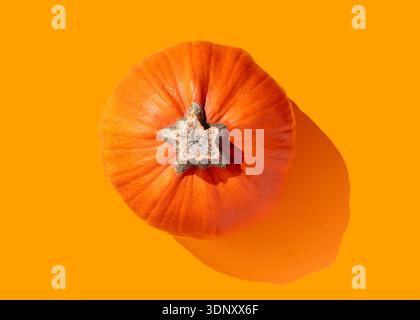 Draufsicht eines leuchtend orangefarbenen Kürbis vor einem passenden leuchtenden orangefarbenen Hintergrund, der die Herbsternte und das Halloween-Thema mit einem foc unterstreicht Stockfoto