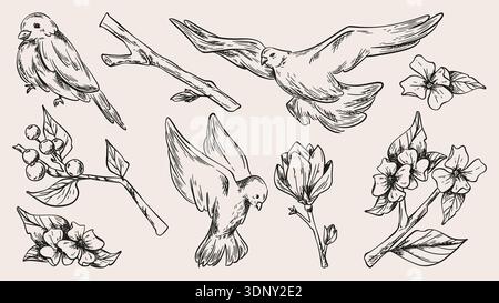 Skizzieren Sie fliegende und hoch sitzende Vögel, Äste mit Blumen, Satz von Vektorillustrationen. Botanisches einfarbiges Blumenmuster im Vintage-Stil, handgezeichnete Federelemente mit Magnolienblüte Stock Vektor