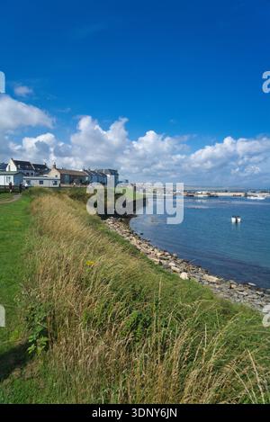 Seahouses Harbour. Blauer Himmel und Sonnenschein. Blühende Pflanzen und Coastal Path Walkers. Seahouses ist ein beliebtes Fischerdorf am Meer in Northumberland. Stockfoto