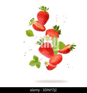 Frische süße Erdbeerbeeren mit Blumen und Blättern, die isoliert auf weißem Hintergrund fallen. Sommergarten Beere. Stockfoto