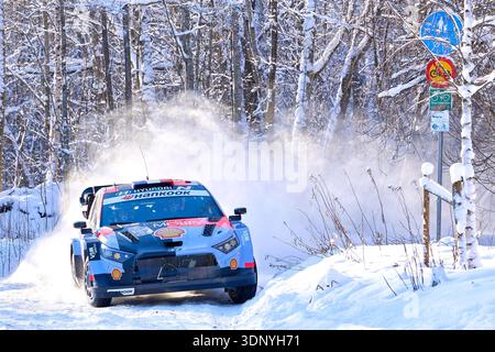 Umeå 20260212 Adrien FOURMAUX (FRA) mit Beifahrer Alexandre CORIA (FRA), HYUNDAI SHELL MOBIS WORLD RALLYETEAM, HYUNDAI i20 N Rally1, RC1 Rally1 während des Shake Down Umeå City Foto: PEO Möller/TT Code 11549 dieser Text ist automatisch übersetzt Credit: TT News Agency/Alamy Live News Stockfoto