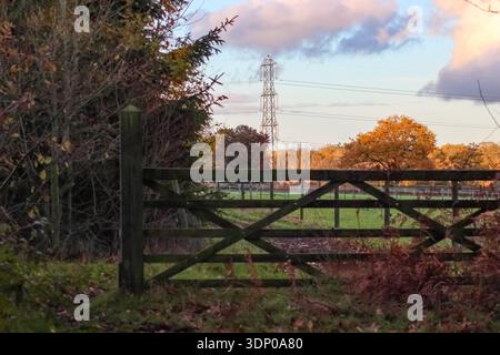 Ein rustikales 5-Bar Holztor steht am Eingang zu einer üppig grünen Weide. Stockfoto