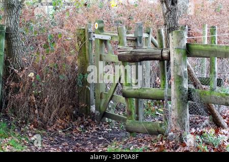 Ein altes, rustikales Holztor steht teilweise offen entlang eines Landweges. Verwitterte Holz- und Metallscharniere spiegeln sein Alter wider, umgeben von trockenen Herbstblättern Stockfoto