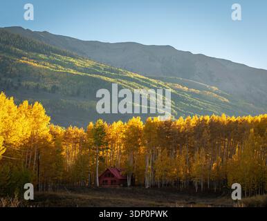 Eine rustikale rote Hütte ist eingebettet zwischen einem Haine aus goldenen Espen in den Bergen während des Herbstes. Das warme Sonnenlicht erhellt den lebhaften Herbst Stockfoto