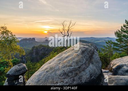 Wunderschöner Sonnenuntergang in der Sächsischen Schweiz, Deutschland. Verdrehte Birke auf einer felsigen Klippe im Vordergrund. Atemberaubender Bergblick, malerisches Licht, natürliches A Stockfoto
