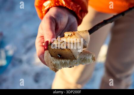 Dieses Bild zeigt eine Nahaufnahme einer Hand, die gegrillte Zwiebeln auf einem Stab hält, gepaart mit einem Stück Brot, wodurch ein optisch ansprechendes und entsteht Stockfoto