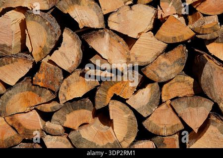 Nahaufnahme eines Haufens gehackten Brennholzes Stockfoto