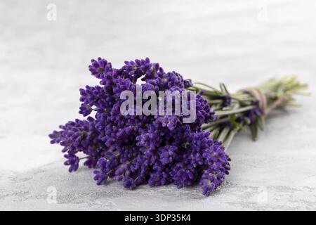 Strauß Lavendel auf dem grauen Stein Hintergrund kopieren Raum Stockfoto