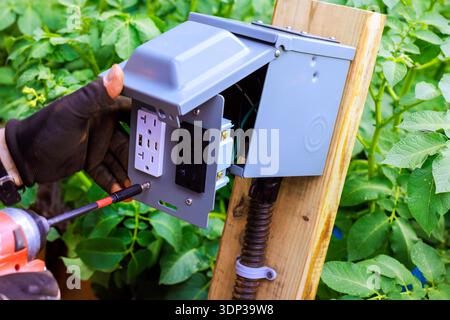 Ein Elektriker befestigt eine elektrische Box im Freien an einem Holzpfosten im Garten mit Pflanzen Stockfoto