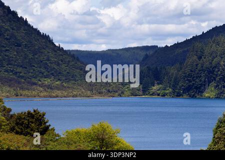 Blue Lake (Lake Tikitapu) umgeben von bewaldeten Hügeln in der Nähe des Whakarewarewa Forest Park, Rotorua, Neuseeland. Stockfoto