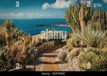 Ein Weg durch einen Garten mit verschiedenen Kakteen und Pflanzen, der zu einem malerischen Blick auf das Meer mit blauem Wasser und einem blauen Himmel mit Wolken führt Stockfoto