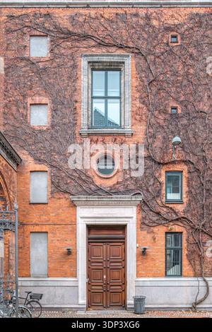 Fassade Des Roten Ziegelgebäudes Mit Getrockneten Efeuzweigen In Kopenhagen, Dänemark Stockfoto