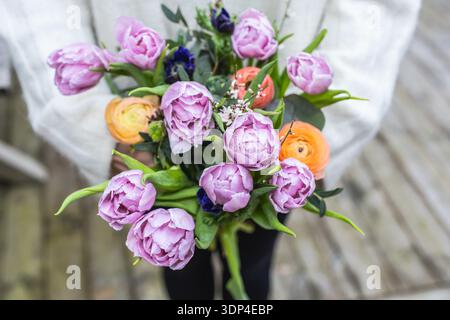 Nahaufnahme einer Frau mit einem großen Strauß aus violetten Tulpen und orangefarbenen Ranunkeln mit Kopierraum. Weiches Blumenmuster im Frühling Stockfoto