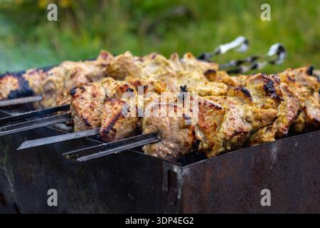 Gegrillte Fleischspieße auf dem Grill mit Rauch, saftig mariniertes Schweinefleisch, das draußen auf der Sommer-Grillparty kocht Stockfoto