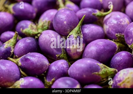 Vollformataufnahme frischer violetter Auberginen Stockfoto