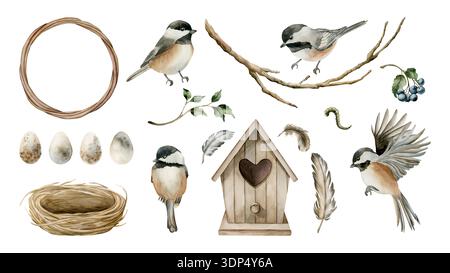 Chickadee Birdhouse Nest Eier Federn Set. Aquarell Hand gezeichnete Illustration isoliert auf weißem Hintergrund für Ostern Dekor Frühling Design Cotta Stockfoto