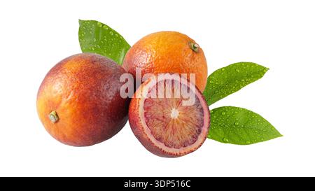 Frische Blutorangenfrucht ganz und Scheiben und Blätter mit Tropfen, die isoliert auf weißem Hintergrund fliegen. Obstsammlung. Stockfoto