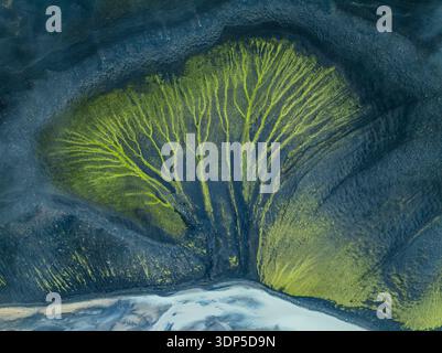 Aus der Vogelperspektive breitet sich die lebendige grüne Vegetation wie Adern über die dunkle, strukturierte Landschaft aus, die einen starken Kontrast zum eisblauen Wasser darunter, SK, bildet Stockfoto