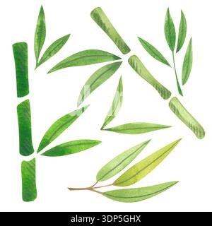 Bambusblätter und -Zweige. Handgezeichnete Aquarellillustration. Hellgrüne Pflanzen und rosa Knospen. Asiatische Kultur und Urlaubsgestaltung. Stockfoto