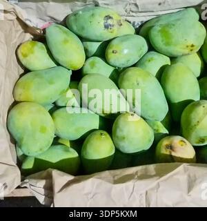Frische grüne Mangos in papierbeschichteter Box, natürliche Marktprodukte, tropische Früchte, Bio-Lebensmittel Hintergrund. Stockfoto
