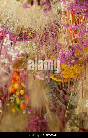 Getrocknete Blumen, die hängen, bilden eine dekorative Ausstellung mit chinesischer Laternenpflanze, rosa Amaranthus, rosa statice, Kamille und Ziergras Stockfoto