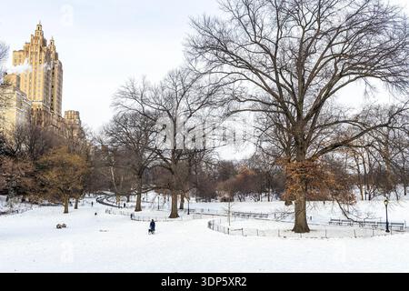 Central Park im Schnee im Winter, Manhattan, New York City Stockfoto