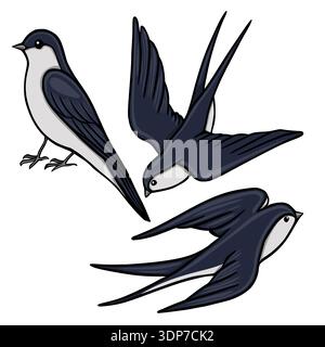 Elegante Vektor-Illustration von drei Schwalbenvögeln im Flug und hoch, isoliert auf weiß Stock Vektor