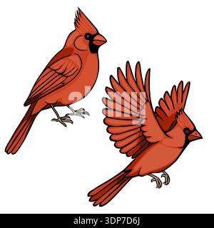 Leuchtende rote Kardinalvektorillustration, eine hoch stehend, eine im Flug Stock Vektor