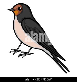Niedliche Scheune Schwalbe Vogel Illustration, Vektor Stock Vektor