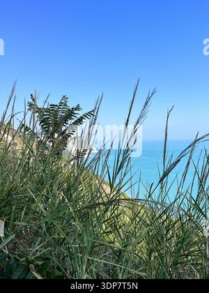 Sommer Adria Bucht und Mezzavalle Strand in der Nähe von Portonovo und Ancona Städte in der Region Marken, Italien, Conero Riviera. Sommerurlaub. Stockfoto