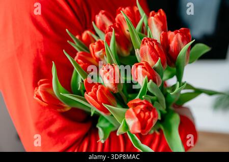 Nahaufnahme eines Mannes in roter Kleidung, der einen Strauß roter Tulpen zur Kamera hält. Romantische Geste symbolisiert Liebe, Feier, Entschuldigung oder Stockfoto