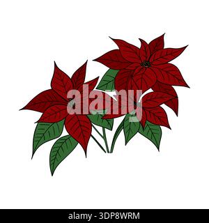 Schöne rote Weihnachtsstern, traditionelles Weihnachtspflanzensymbol der Weihnachtszeit. Festliche Winterillustration Grußkarten, Einladungen, DE Stockfoto