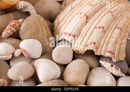 Meereskieselhintergrund, natürliche Steine am Meer Stockfoto