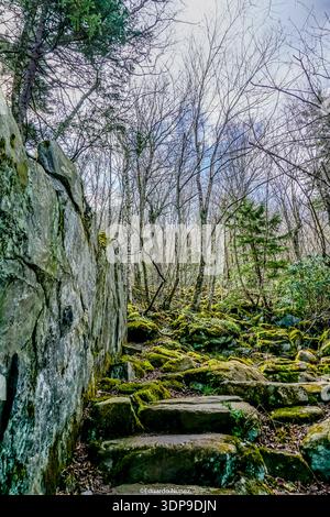 Ein felsiger Pfad mit Moos, das auf den Felsen wächst. Das Moos ist grün und die Felsen grau Stockfoto