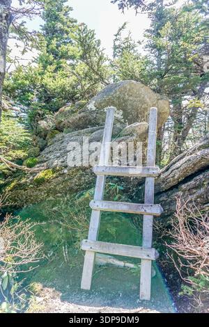 Eine Leiter lehnt sich an einen Felsen in einem Wald. Die Leiter ist aus Holz und hat drei Stufen. Der Felsen ist groß und der Wald ist üppig und grün Stockfoto