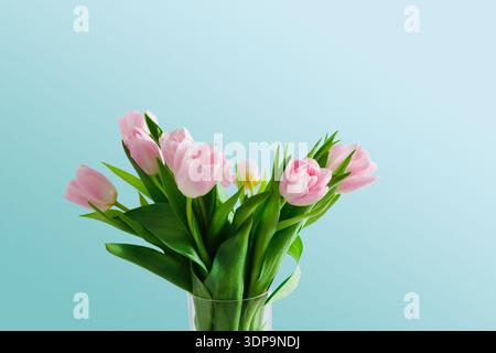Wunderschöne Darstellung rosafarbener Tulpen in einer klaren Vase vor blauem Hintergrund Stockfoto