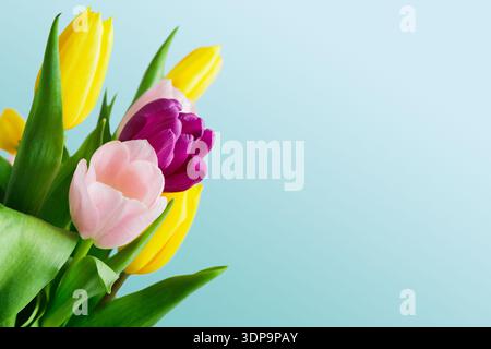 Farbenfrohe Tulpen in einem Blumenstrauß mit hellem Hintergrund im Frühling Stockfoto